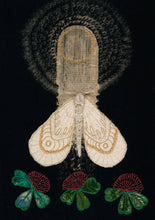 Load image into Gallery viewer, Greeting Cards- MOTHS COLLECTION 2 designs