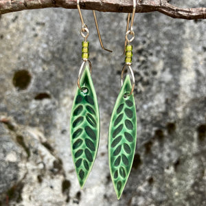 Long emerald green leaf