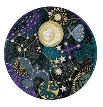 Load image into Gallery viewer, ‘NIGHT GARDEN’ original textile, framed