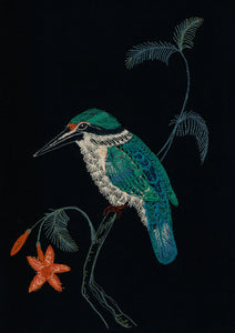 ‘KINGFISHER’ Print