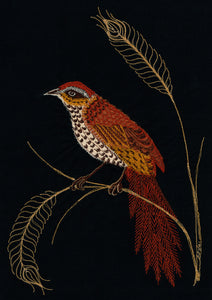 ‘FERNBIRD’ Print